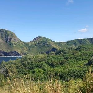 Meet your Posher, Kelsie